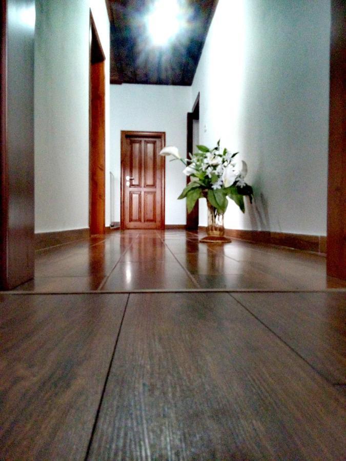 Guesthouse Celo Gjirokastër Esterno foto